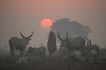 Mundari, Südsudan