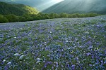 Abruzzen, Italien
