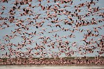 Lake Natron, Tansania