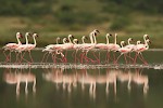 Lake Natron, Tansania