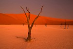 Deathvlei, Namibia