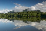 Mata Atlantica, Brasil