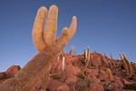 Sal de Uyuni, Bolivia