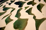 Lencois Maranhenses, Brasilien